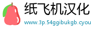 纸飞机汉化